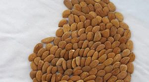 صادرات بادام شیرین درختی ایرانی 09120774128